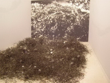 Auschwitz_79