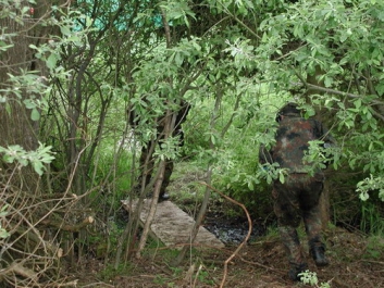 Paintball_2004_01