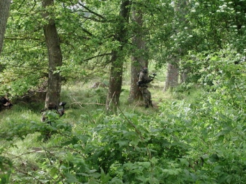 Paintball_2004_36