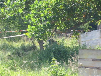 Paintball_2005_160