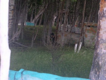 Paintball_2005_22