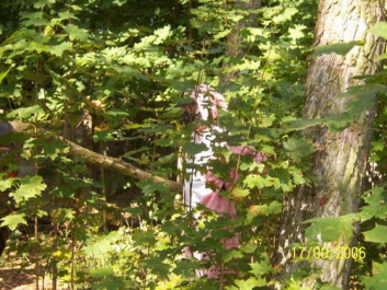 Paintball_2006_85