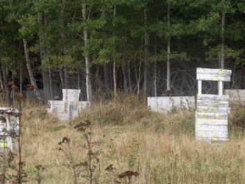 Paintball_2008_28