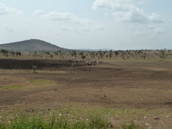 Afrika_141