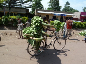 Afrika_006