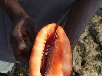 Afrika_108