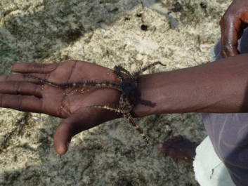 Afrika_103