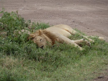 Afrika_186