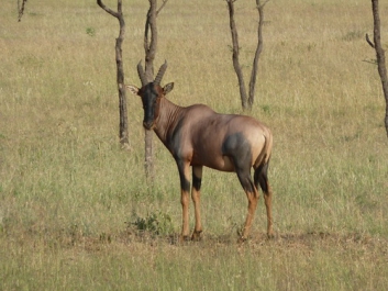 Afrika_062