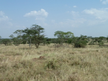 Afrika_234