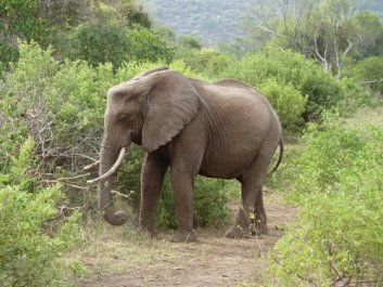 Afrika_156