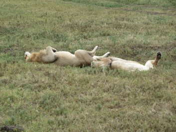 Afrika_046