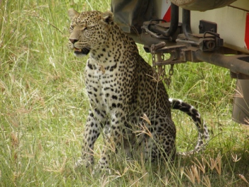 Afrika_308