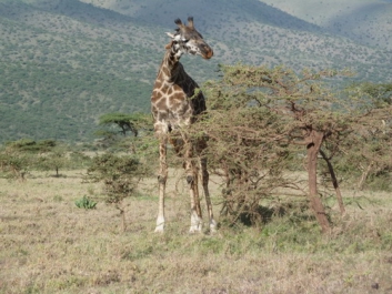 Afrika_048