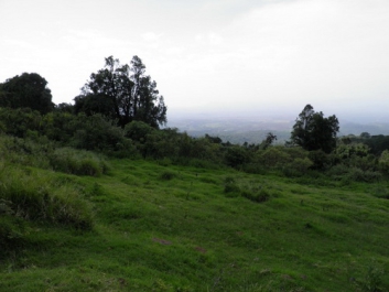 Afrika_282