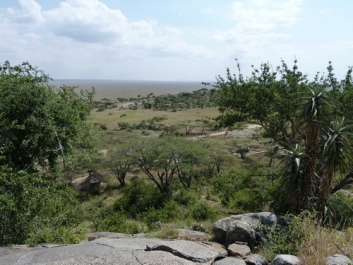 Afrika_193