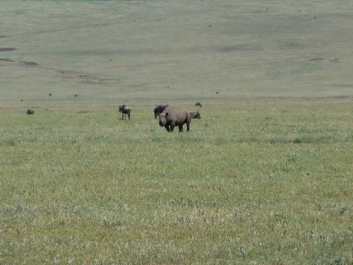 Afrika_036