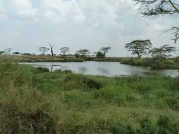 Afrika_226