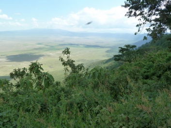 Afrika_025